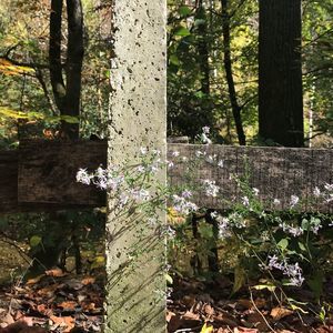 Meet your Posher, Samara